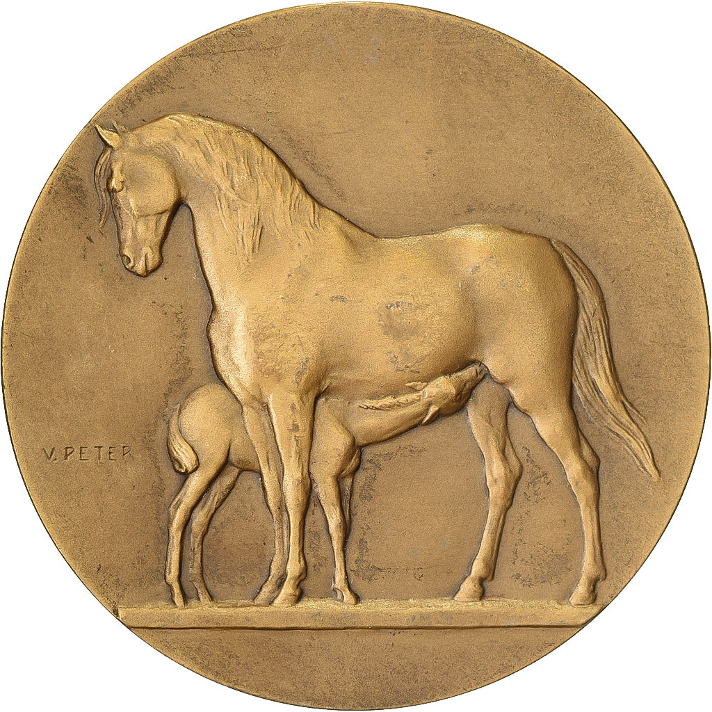 Médaille Argent Direction Des Haras - Graveur Bouchard - Cheval équitation - XXème Siècle