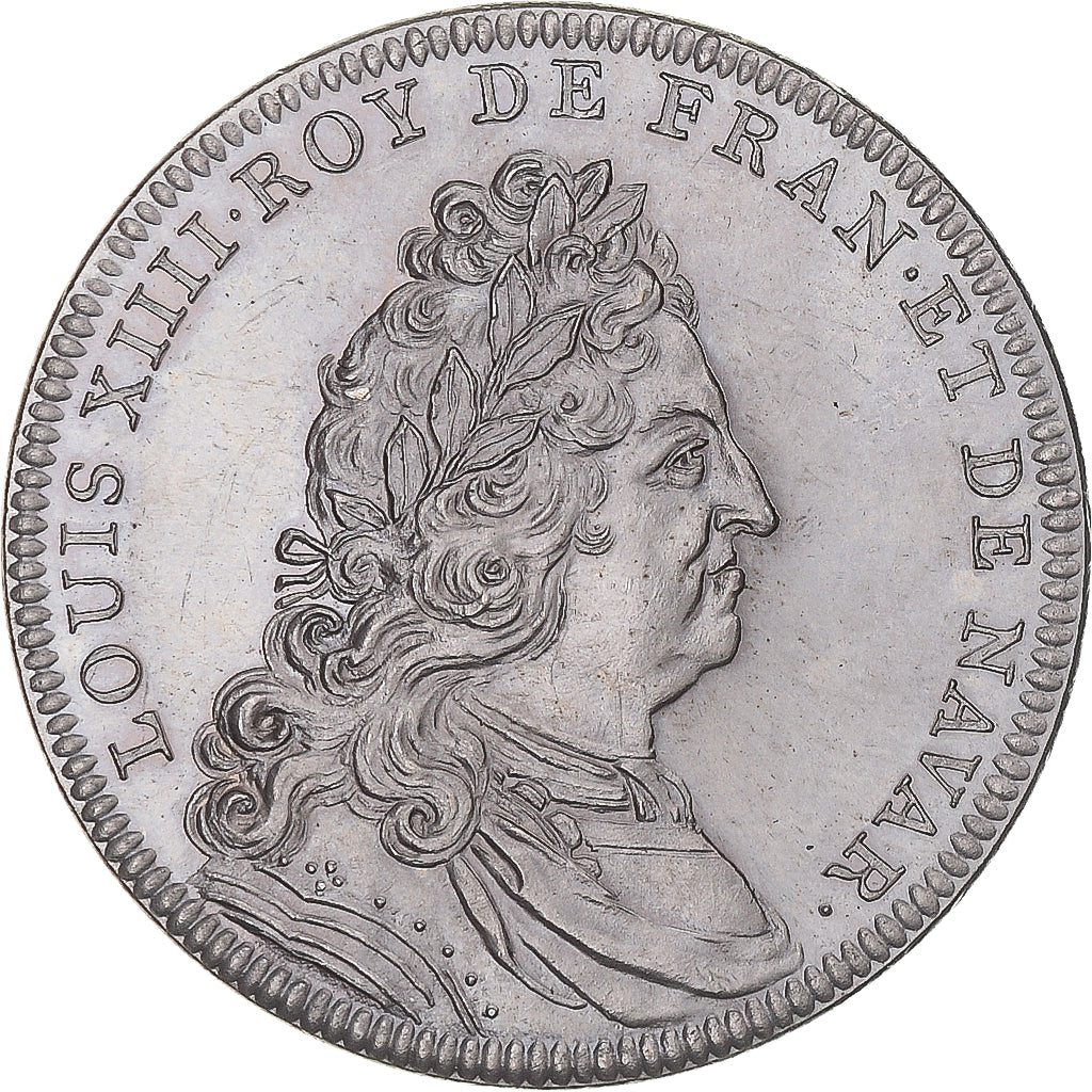 France, Médaille, Les rois de France célèbres avec certificat cuivre argenté et doré et Swarovski Louis XIV 1638-1715 - Collection