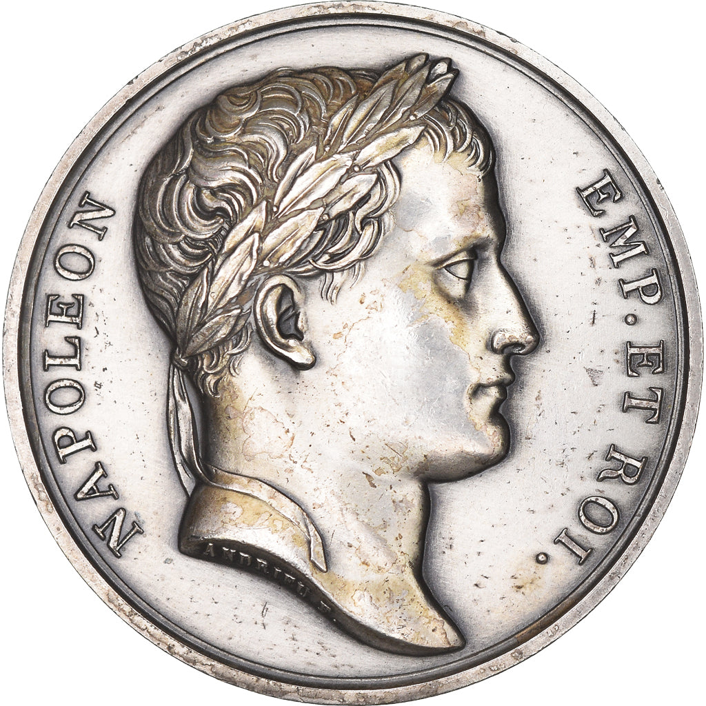 Médaille En Bronze – Napoléon Ier, Bataille De La Moskowa (133-27/A2)