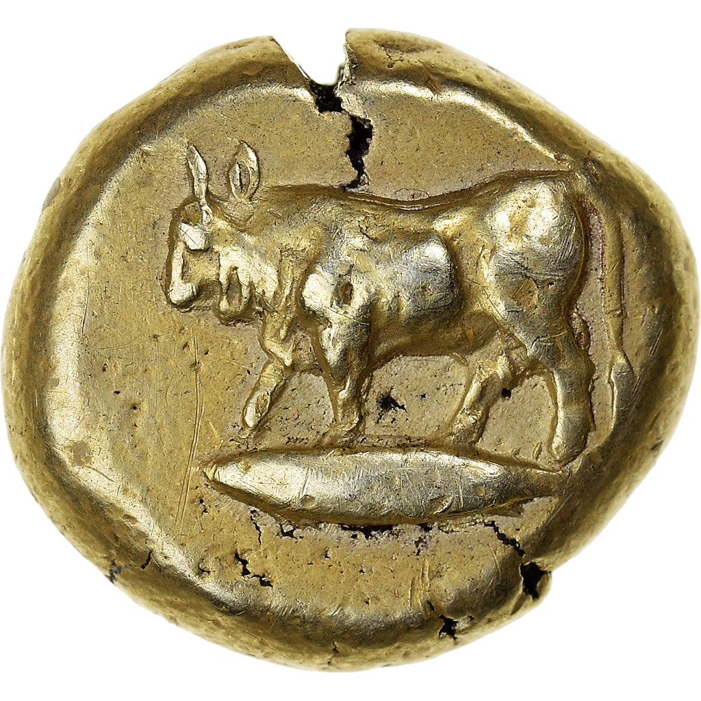 Mysia, Stater, 500-450 BC, Kyzikos, Elettro, NGC, MB+, SNG-France:222-3
