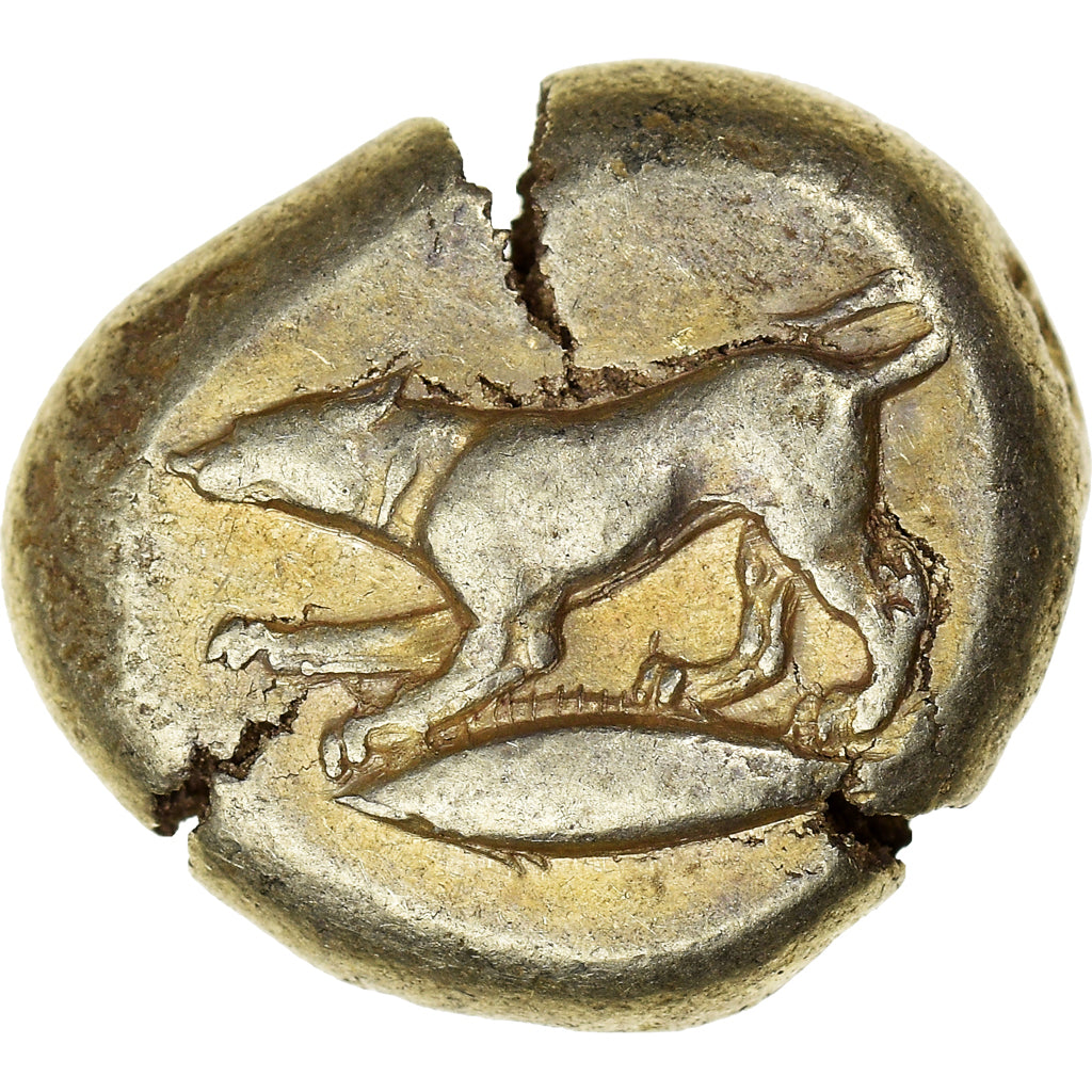 Mysia, Stater, c. 550-475 BC, Kyzikos, Electrum, EF(40-45), SNG-vonAulock:1192