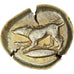 Mysia, Stater, c. 550-475 BC, Kyzikos, Electrum, EF(40-45), SNG-vonAulock:1192