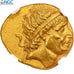Seleukid Kingdom, Antiochus I Soter, Stater, 276-261 BC, Ai-Khanoum, Gold, NGC