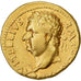 Vitellius, Aureus, 69, Tarraco, Extremely rare, Gold, EF(40-45), RIC:35