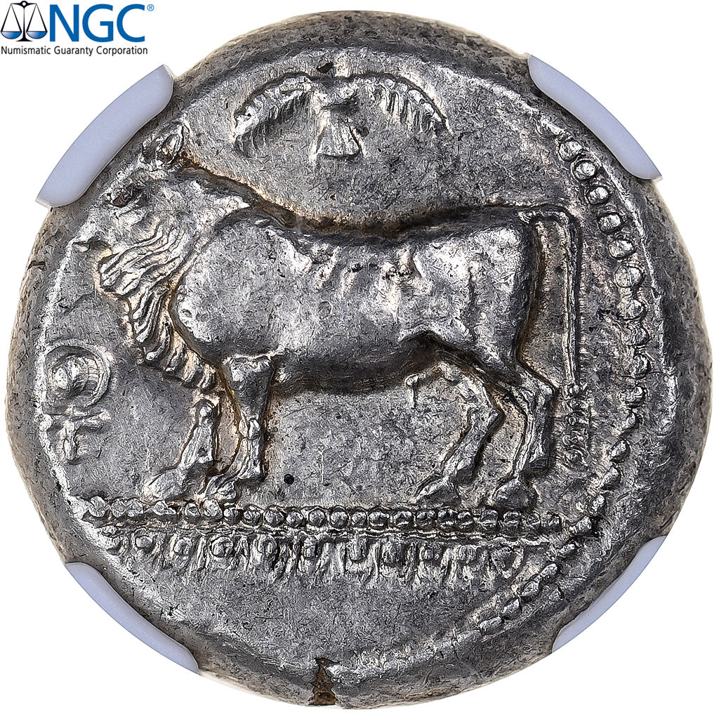 Chypre, Onasioikos, Statère, ca. 450-440 BC, Paphos, Argent, NGC, AU 4/5-5/5