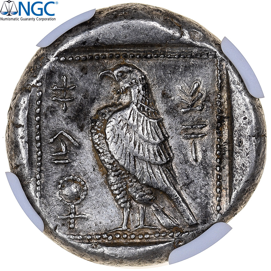 Chypre, Onasioikos, Statère, ca. 450-440 BC, Paphos, Argent, NGC, AU 4/5-5/5