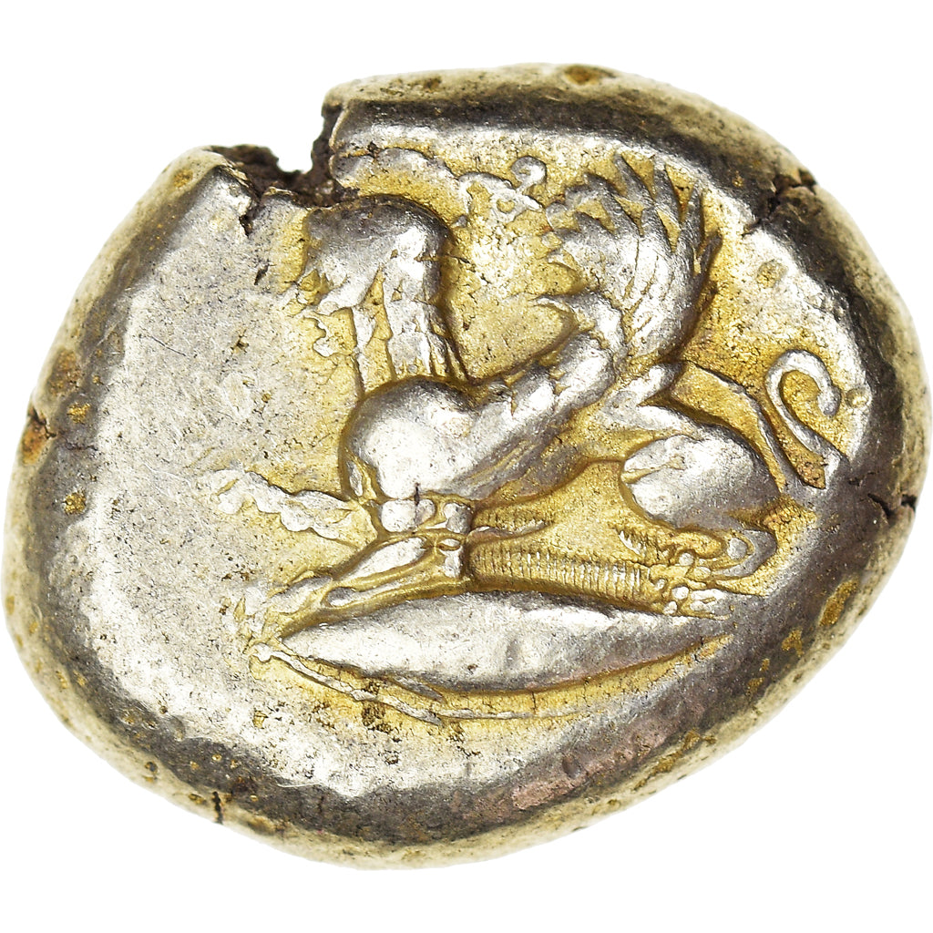 Mysia, Stater, 550-450 BC, Kyzikos, Rare, Elettro, NGC, MB+, SNG-France:200