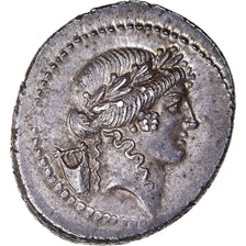 Claudia, Denarius, 42 BC, Rome, Silver, MS(60-62), Crawford:494/23