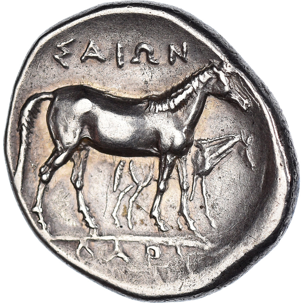 Coin, Thessaly, Drachm, 380-365 BC, Larissa, Rare, AU(50-53), Silver, HGC:4-444