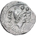 Monnaie, Cordia, Denier, 46 BC, Rome, SUP, Argent, Crawford:463/1b