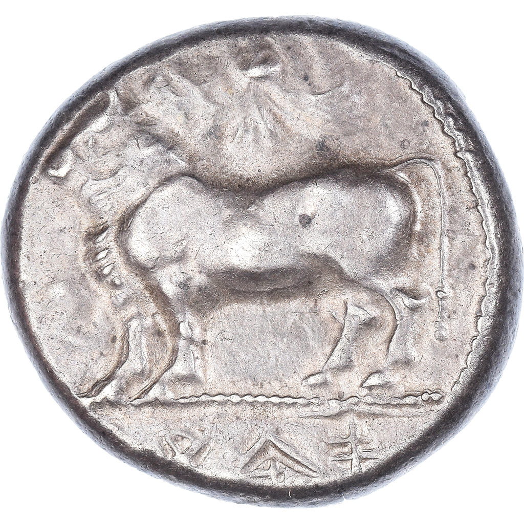 Chypre, Onasioikos, Statère, ca. 450-400 BC, Paphos, Argent, SUP