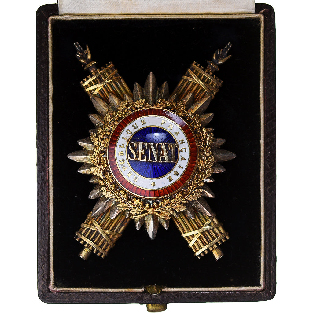 Frankrijk, Insiqgne Sénateur IIIème République, Politics, Society, War