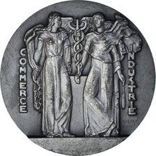 Francja, medal, Czwarta Republika Francuska, Chambre de Commerce et Industrie de