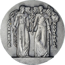 Frankreich, Medaille, Chambre de Commerce et Industrie de Lille, Business &