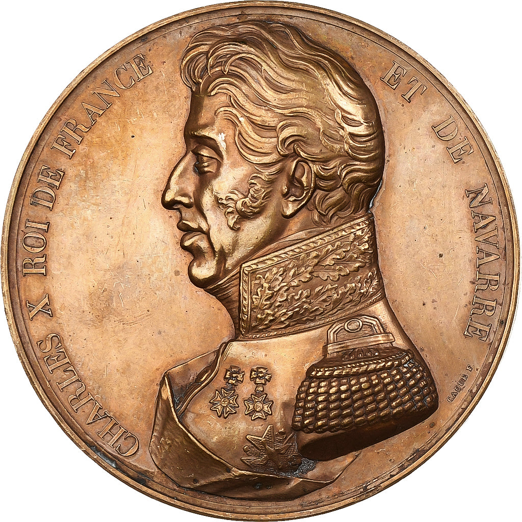 França, medalha, Les Rois de France, Charles X, 1834, Bronze, Caqué, AU(50-53)