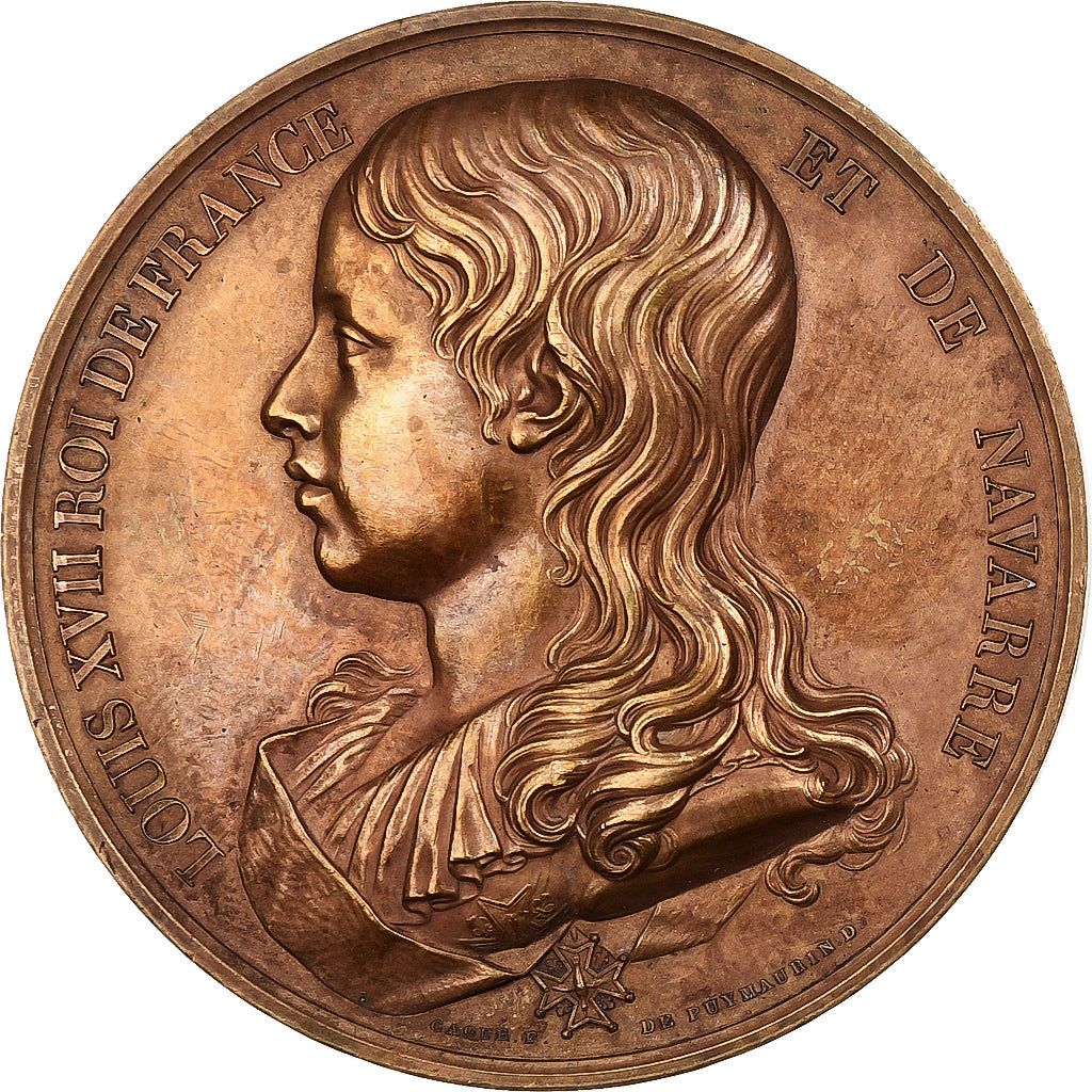 France, Medal, Les Rois de France, Louis XVII, Bronze, Depuymaurin, Caqué