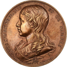 France, Medal, Les Rois de France, Louis XVII, Bronze, Depuymaurin, Caqué