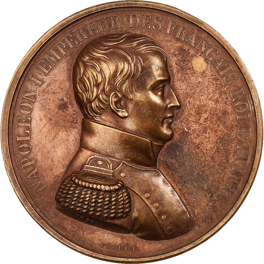 Frankrijk, Medaille, Les Rois de France, Napoléon Ier, 1834, Bronzen, Caqué