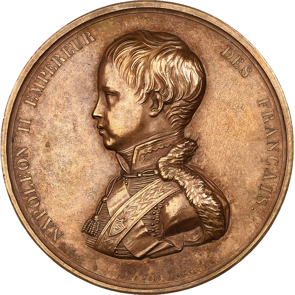 Frankreich, Medaille, Les Rois de France, Napoléon II, 1834, Bronze, Caqué, VZ