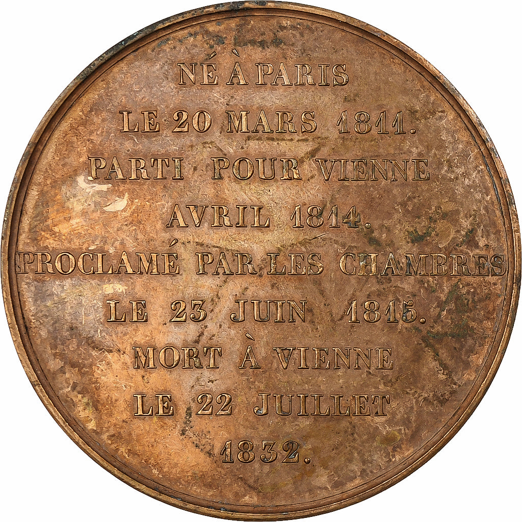 Frankreich, Medaille, Les Rois de France, Napoléon II, 1834, Bronze, Caqué, VZ