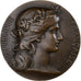 Francja, medal, Prix de Tir Offert par le Ministre de la Guerre, Brązowy
