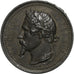 Francia, medaglia, Napoléon III, Exposition Universelle de Paris, 1855, Zinco