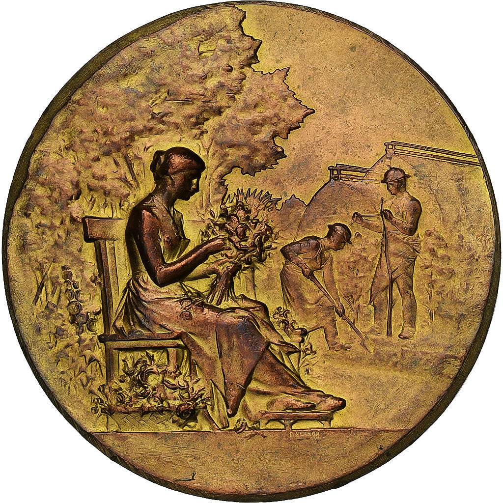 France, Médaille, Société d'Horticulture de Senlis, Bronze, SUP