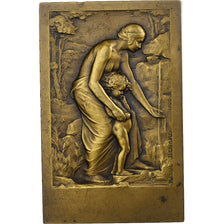 France, Medal, Voyages d'études médicales aux stations hydrominérales, 1922