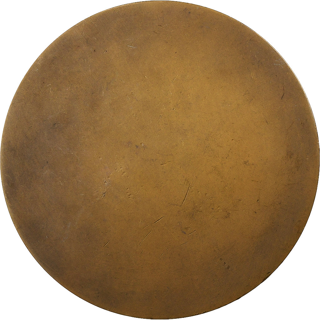 Francia, medalla, Fernand Brunot, Doyen de la Faculté des Lettres, 1928