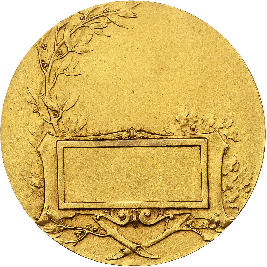 France, Medal, Sport, Course à Pied, Bronze, Monier, AU(50-53)