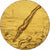 France, Medal, Sport, Natation, Bronze, AU(55-58)