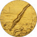 France, Medal, Sport, Natation, Bronze, AU(55-58)
