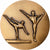 France, Medal, Fédération française de Gymnastique, Bronze, AU(55-58)