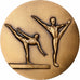 France, Medal, Fédération française de Gymnastique, Bronze, AU(55-58)