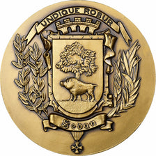 France, Medal, Sedan, Bronze, Pichard, AU(55-58)