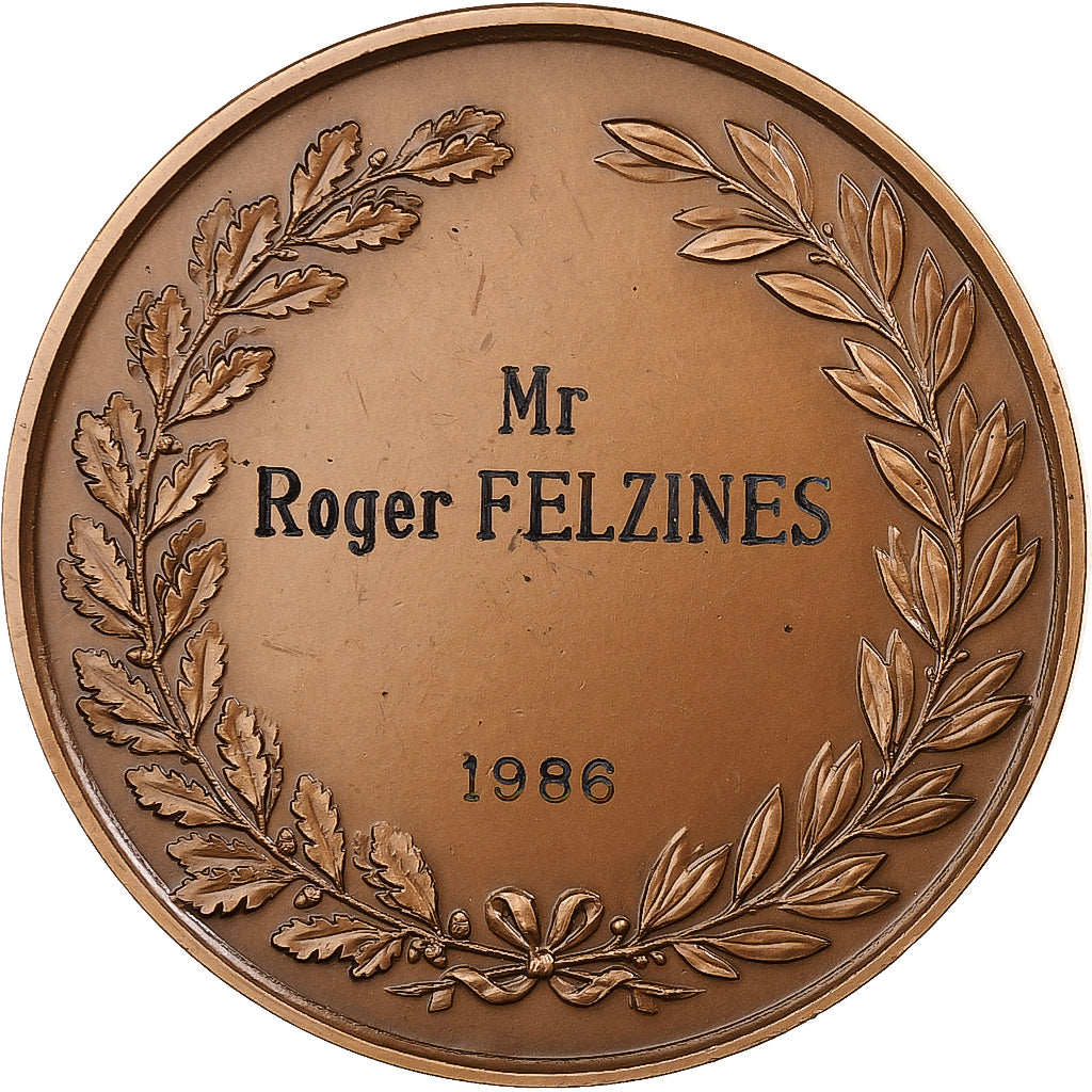 France, Medal, Ville de Valenciennes, 1986, Bronze, Lemoine, AU(55-58)