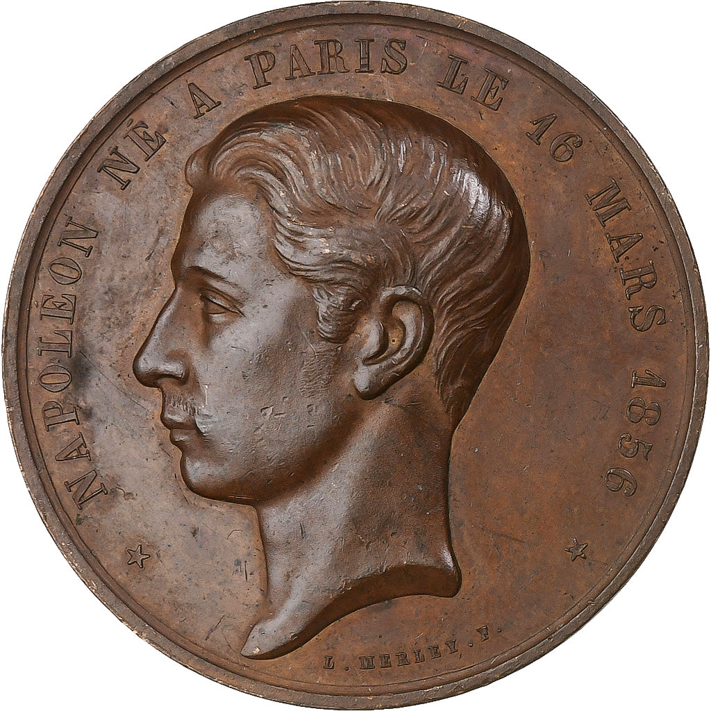 France, Médaille, Napoléon Né à Paris le 16 Mars 1856, 1874, Bronze, Merley