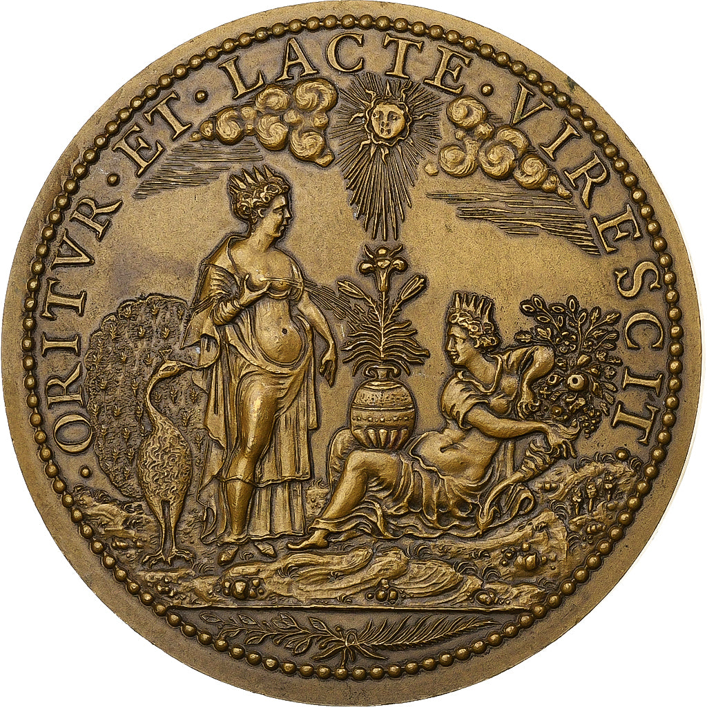 Francja, medal, Henri IV, Junon et la Fortune, Brązowy, AU(55-58)