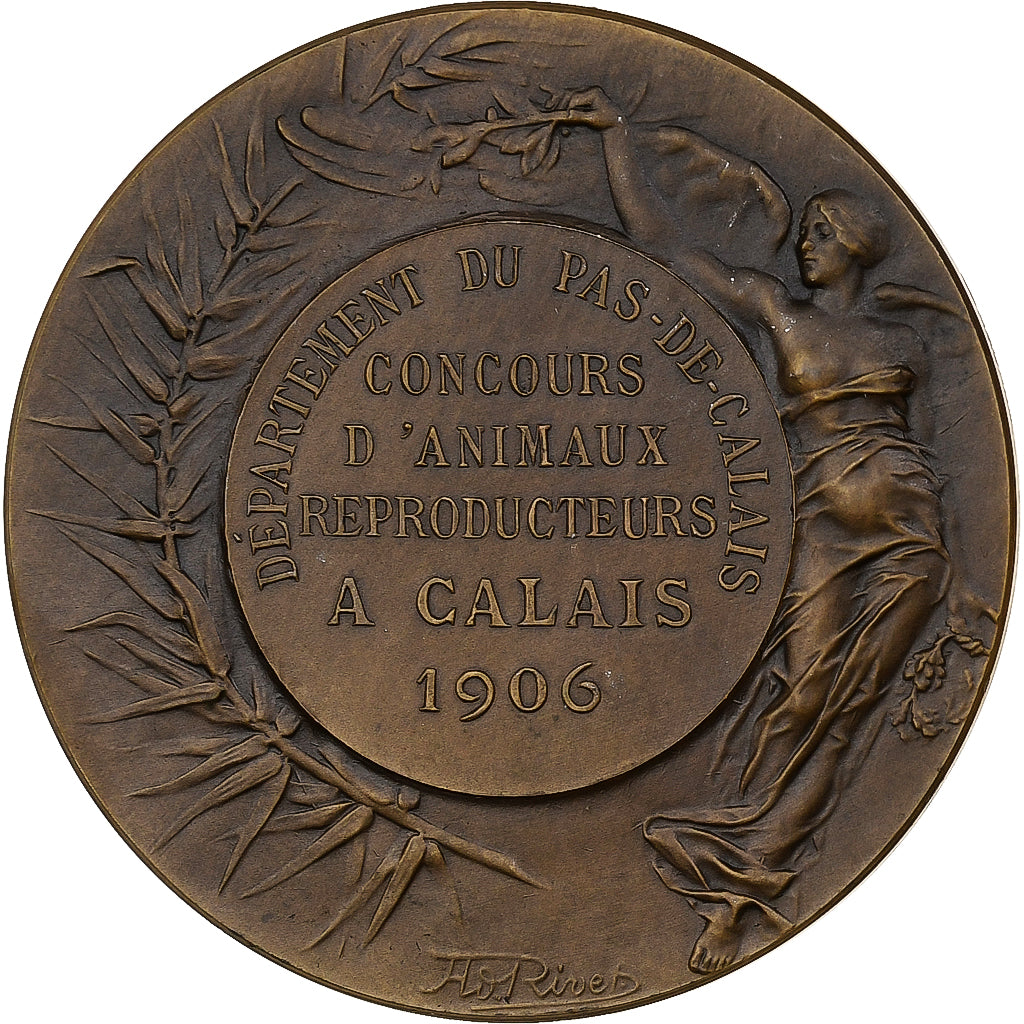 Francia, medalla, Concours d'animaux reproducteurs Calais, 1906, Bronce, Rivet