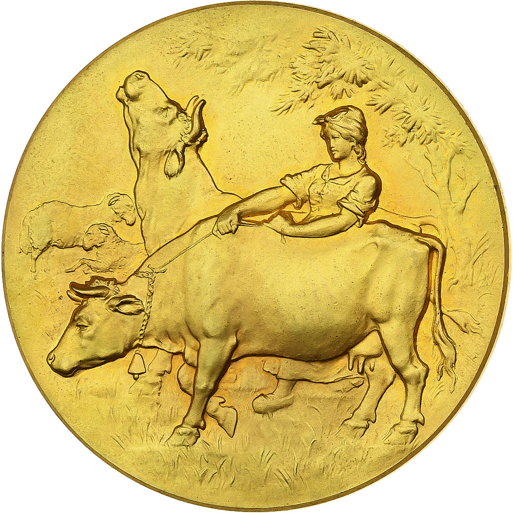 France, Médaille, Société des Agriculteurs du Nord, Gilt Bronze, Rivet, SUP