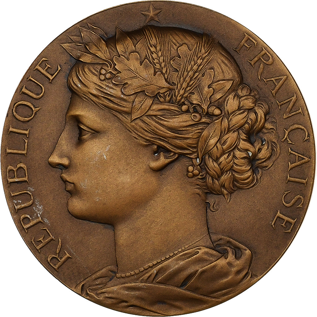 France, Médaille, Ville de Bergues, Foire des Rameaux, Bronze, SUP