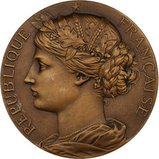 France, Médaille, Ville de Bergues, Foire des Rameaux, Bronze, SUP