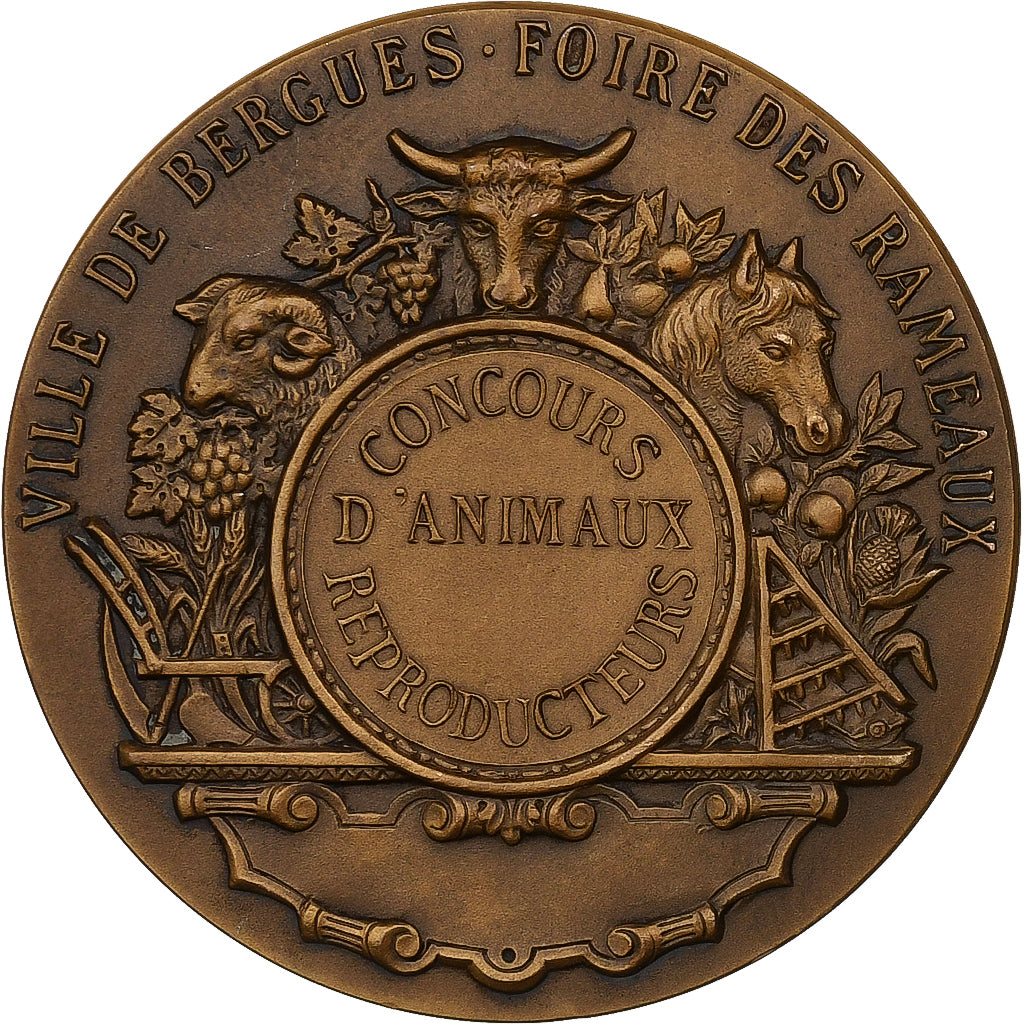 France, Médaille, Ville de Bergues, Foire des Rameaux, Bronze, SUP