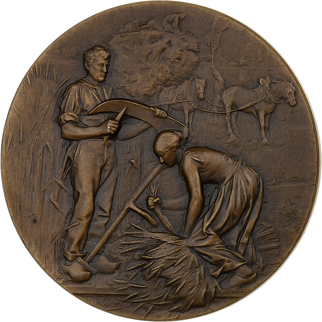 Francia, medalla, Concours départementale de la race flamande, 1905, Bronce