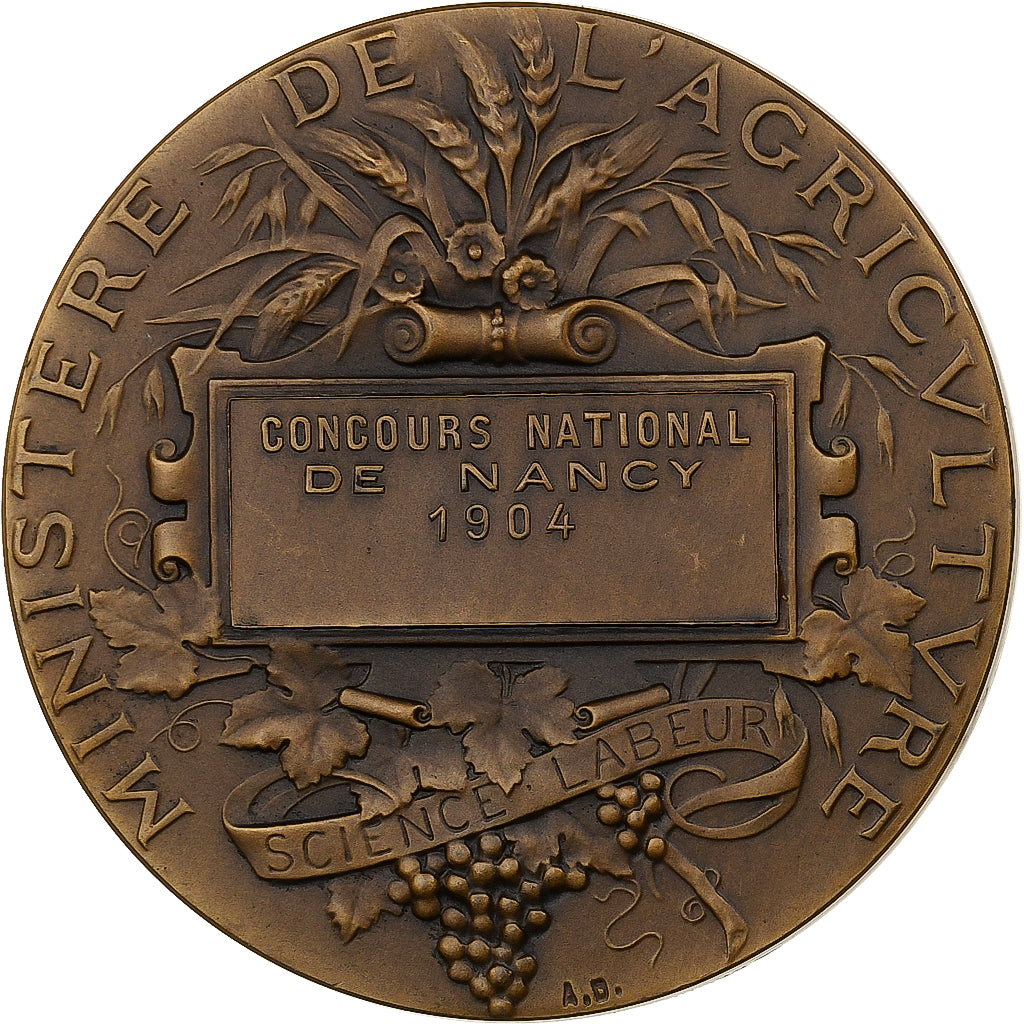France, Médaille, Concours National de Nancy, 1904, Bronze, Dubois.A, SUP