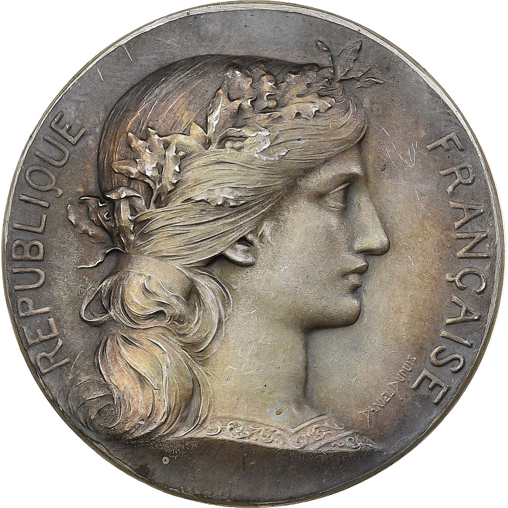 França, medalha, Comice agricole de Bergues, Prata, AU(55-58)