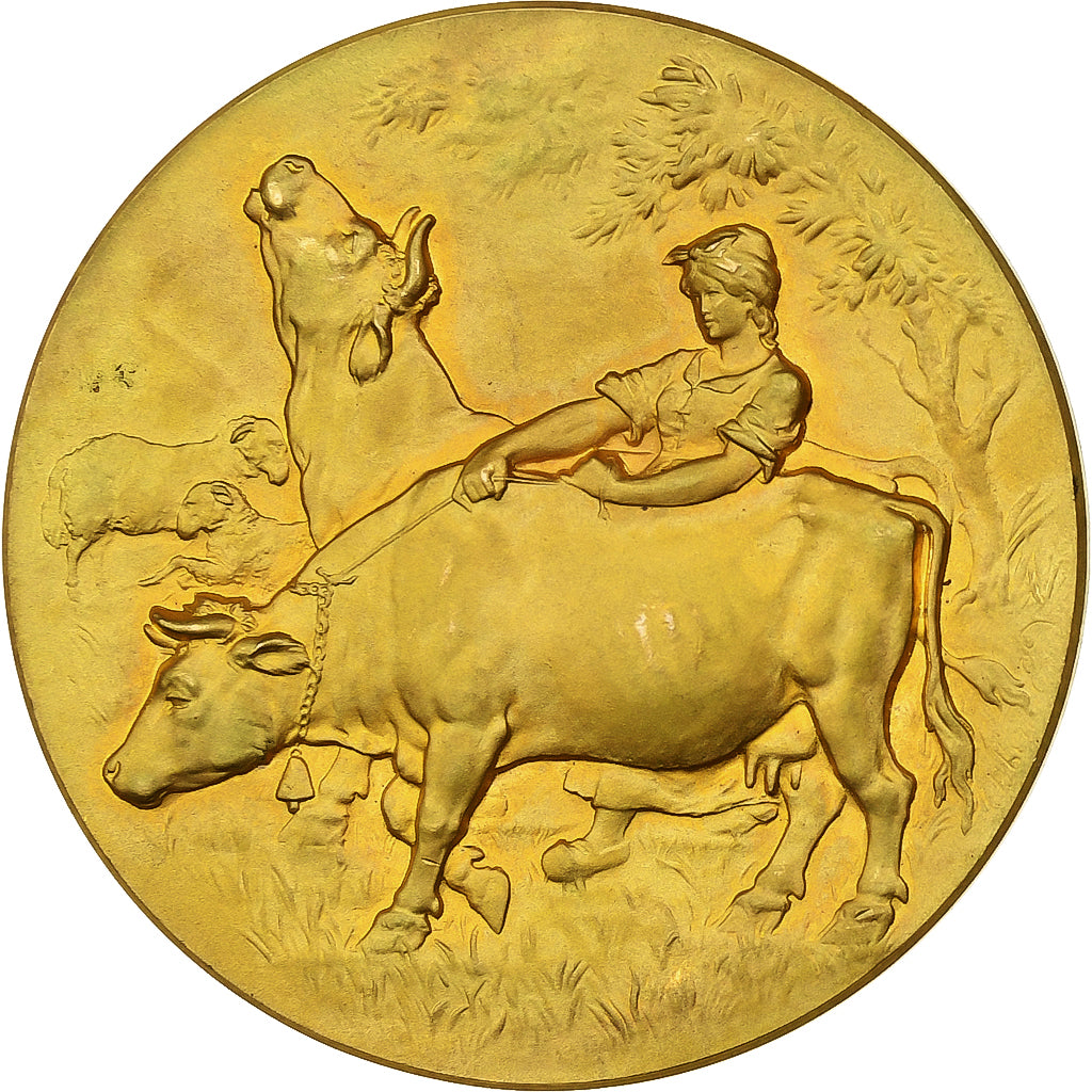 France, Medal, Société des Agriculteurs du Nord, Gilt Bronze, Rivet, AU(55-58)