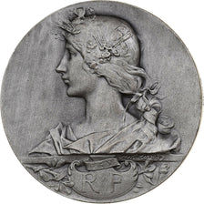 France, Medal, Concours de Calais - Espèce bovine, 1906, Silver, Rivet