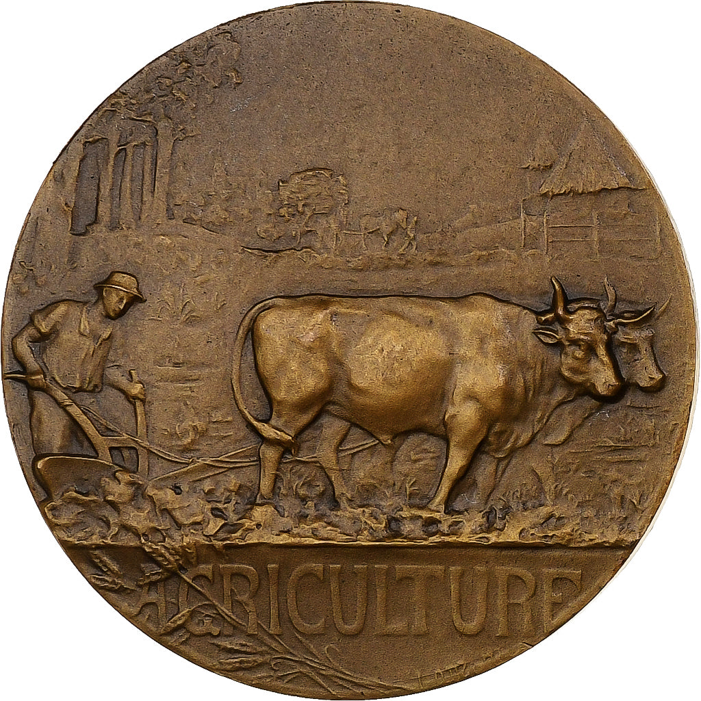 Francia, medalla, Concours spéciaux de races bovines - Roubaix, 1911, Bronce