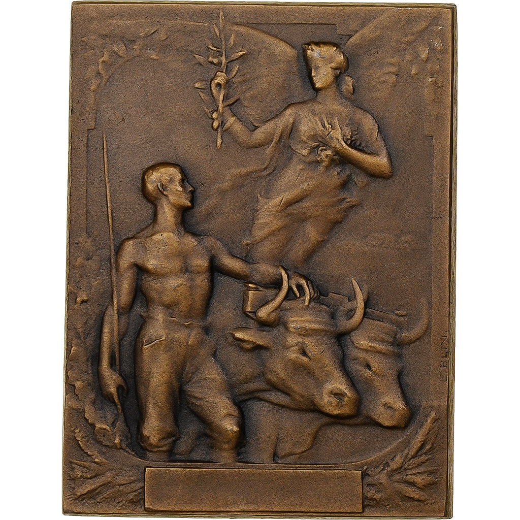 Francia, medalla, Concours spécial de la race flamande - Béthune, 1912